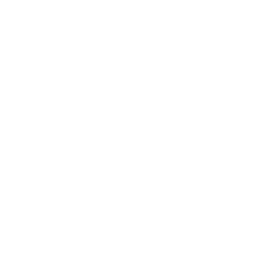 Fashion Consulting